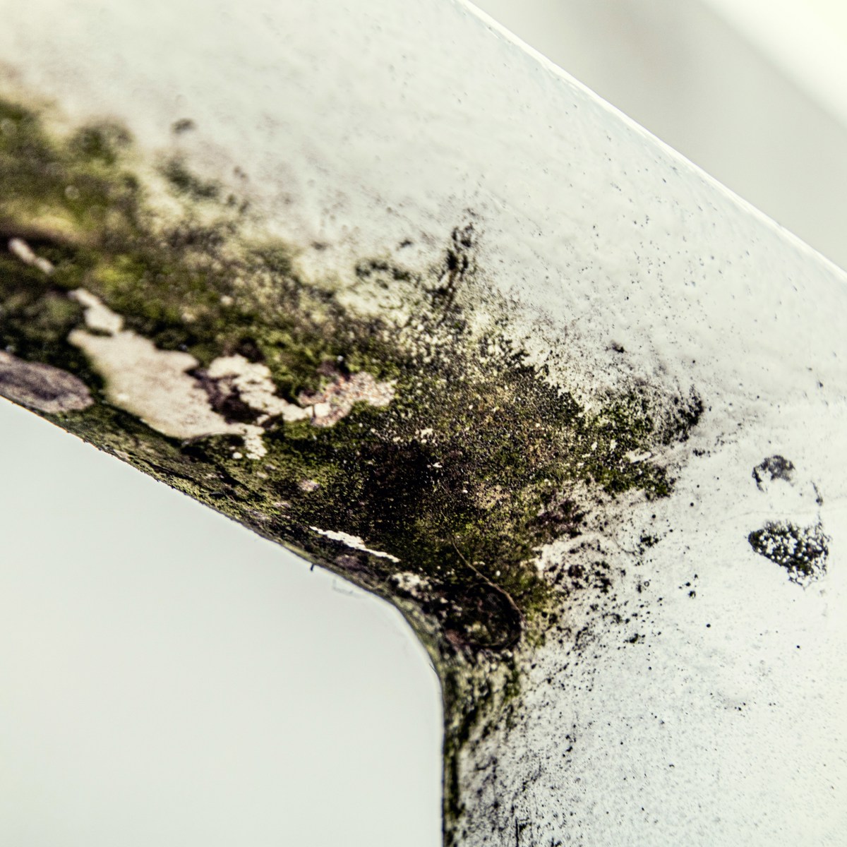 Mould growth on an interior surface illustrating housing compliance challenges addressed through ASC1, RM3 refurbishment and N9 retrofit programmes.